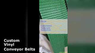 โซลูชันสายพานลำเลียงไวนิลแบบกำหนดเอง